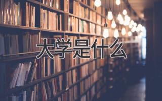 大学是什么
