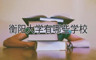 衡阳大学有哪些学校