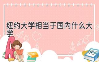 纽约大学相当于国内什么大学