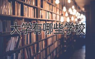 大学有哪些学校