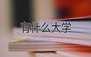 有什么大学