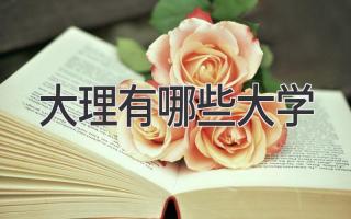 大理有哪些大学