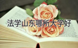 法学山东哪所大学好