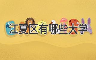 江夏区有哪些大学