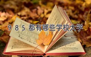 985都有哪些学校大学