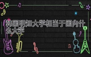 韩国明知大学相当于国内什么大学