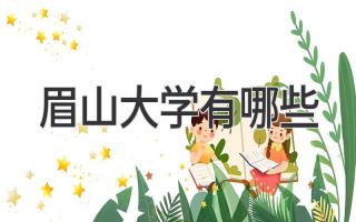 眉山大学有哪些