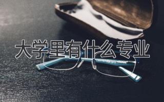 大学里有什么专业