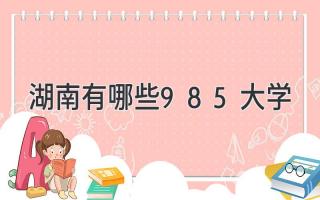 湖南有哪些985大学