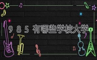 985有哪些学校大学