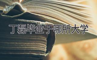 丁磊毕业于哪所大学