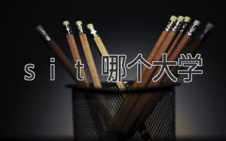 sit哪个大学