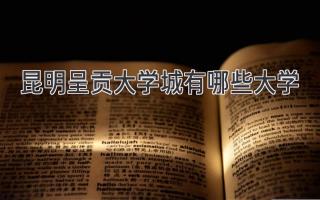 昆明呈贡大学城有哪些大学