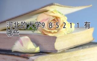 河北的大学985211有哪些