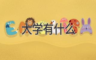 大学有什么