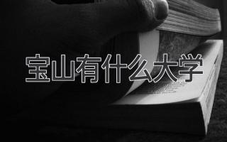 宝山有什么大学