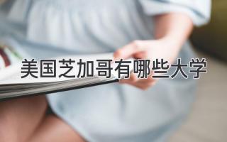 美国芝加哥有哪些大学