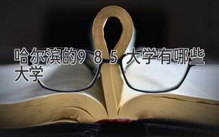 哈尔滨的985大学有哪些大学