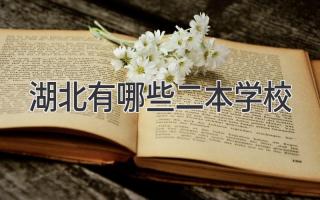 湖北有哪些二本学校
