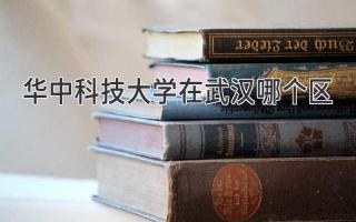 华中科技大学在武汉哪个区