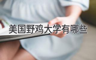 美国野鸡大学有哪些