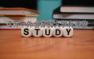 江苏中外合办的大学有哪些