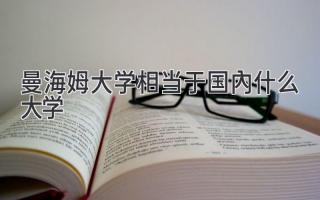 曼海姆大学相当于国内什么大学