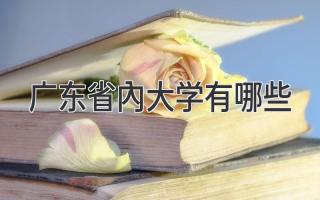 广东省内大学有哪些