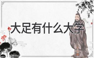 大足有什么大学