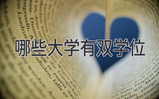 哪些大学有双学位