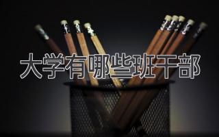 大学有哪些班干部