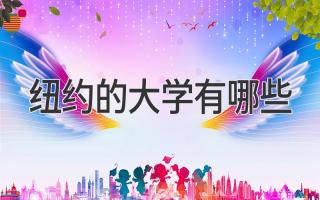 纽约的大学有哪些