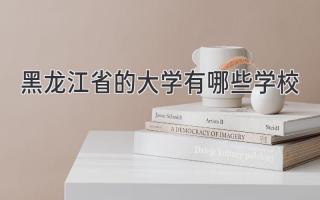 黑龙江省的大学有哪些学校
