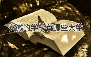 安徽的学校有哪些大学