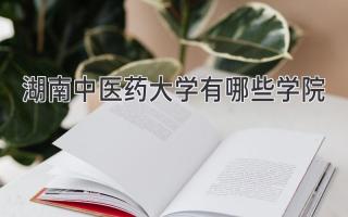 湖南中医药大学有哪些学院