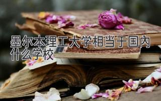 墨尔本理工大学相当于国内什么学校