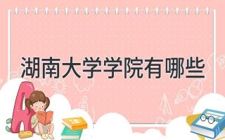 湖南大学学院有哪些