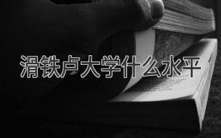 滑铁卢大学什么水平