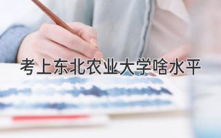 考上东北农业大学啥水平