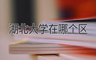 湖北大学在哪个区