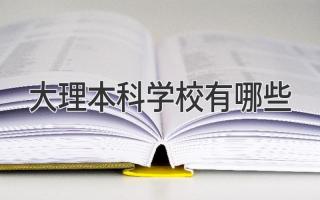 大理本科学校有哪些