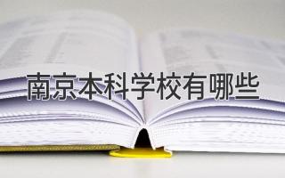 南京本科学校有哪些