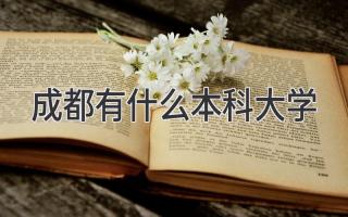 成都有什么本科大学