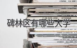 碑林区有哪些大学