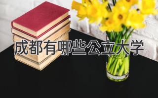 成都有哪些公立大学