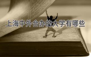 上海中外合办的大学有哪些