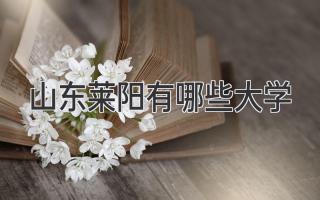 山东莱阳有哪些大学