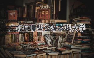 广东有哪些公办本科大学