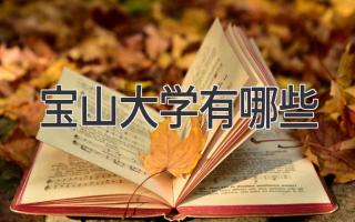 宝山大学有哪些