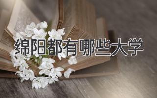 绵阳都有哪些大学